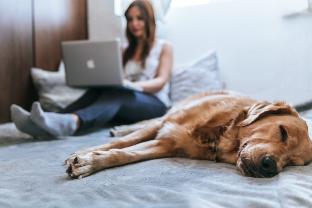 Dog relaxing with girl on bed